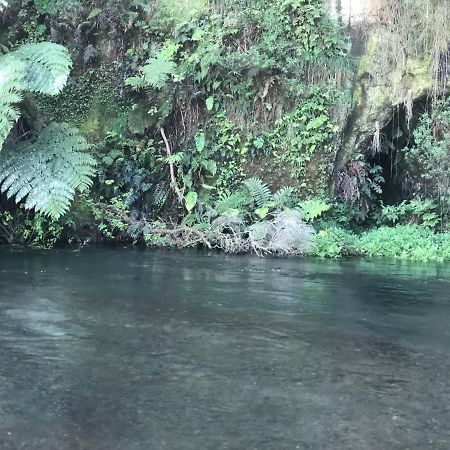 A1 Troutfishing At Tirau Exterior foto