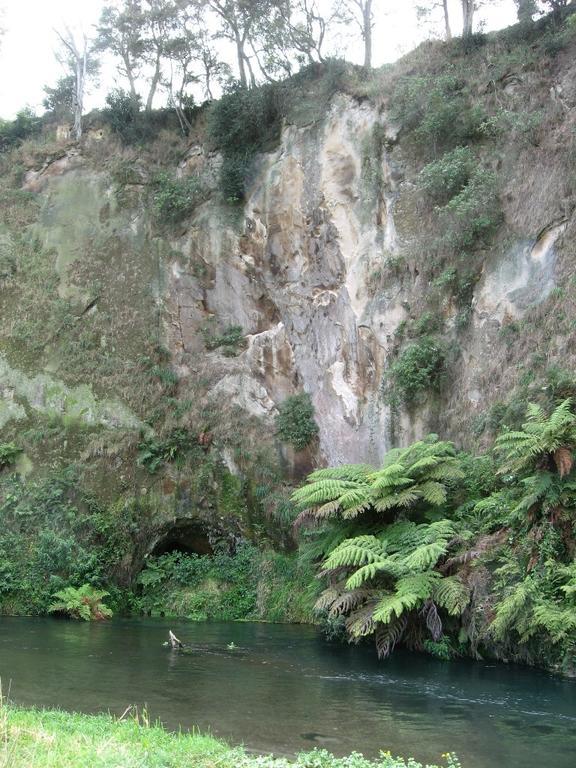 A1 Troutfishing At Tirau Exterior foto