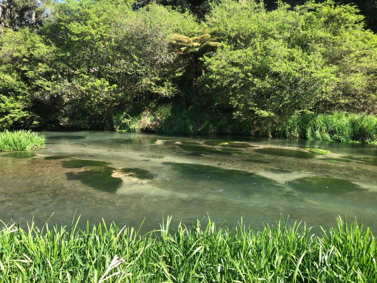 A1 Troutfishing At Tirau Exterior foto
